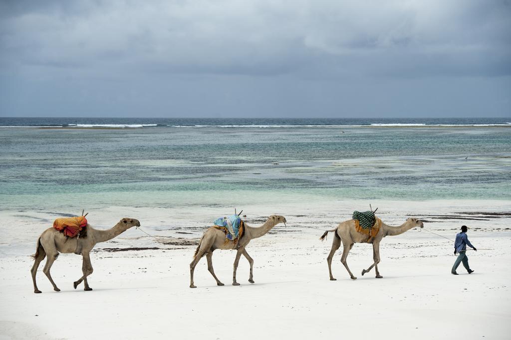 Diani House Hotel Диани Бийч Екстериор снимка